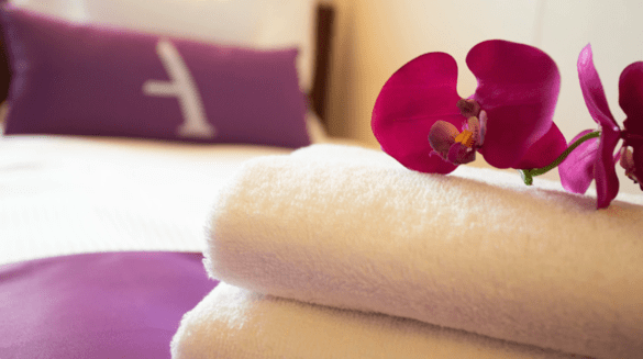 Ambassador Cruise Line General Cabin Image.png